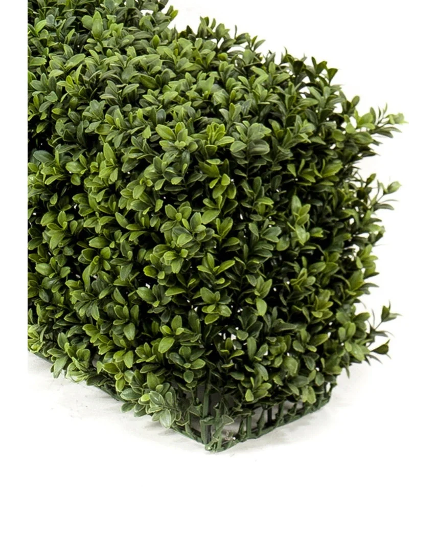Miniatuur 2