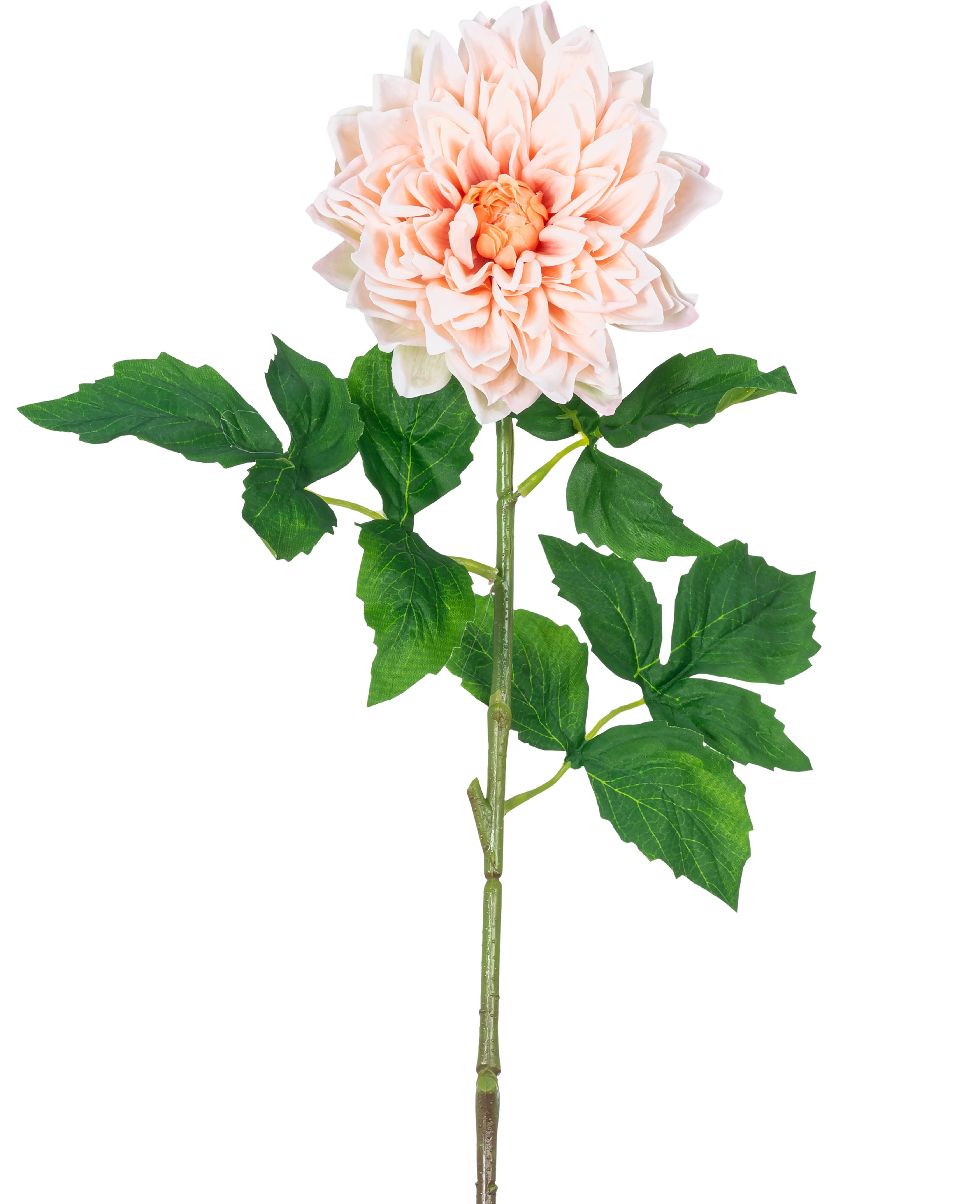 Miniatuur 2