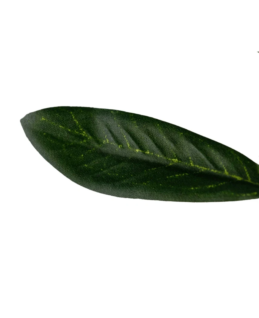 Miniatuur 2