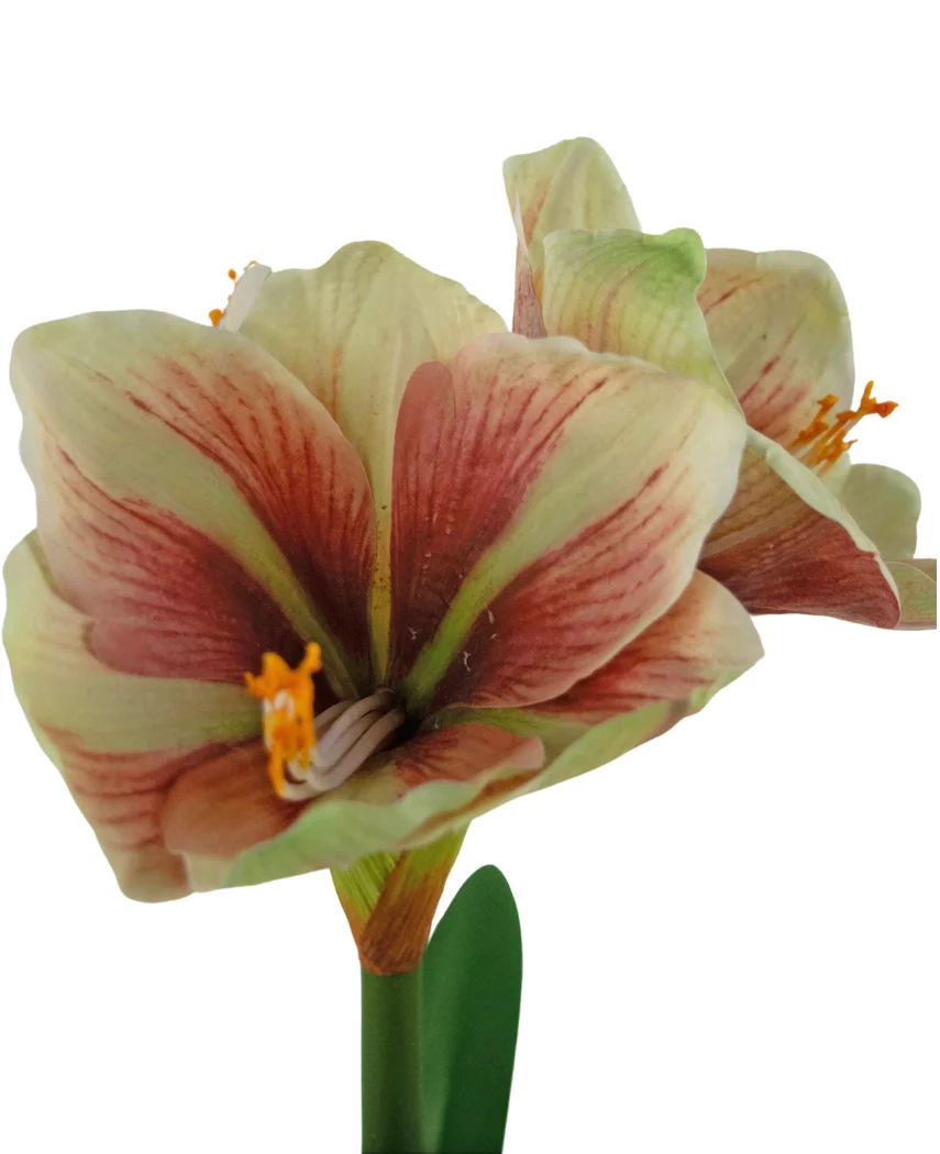 Miniatuur 2