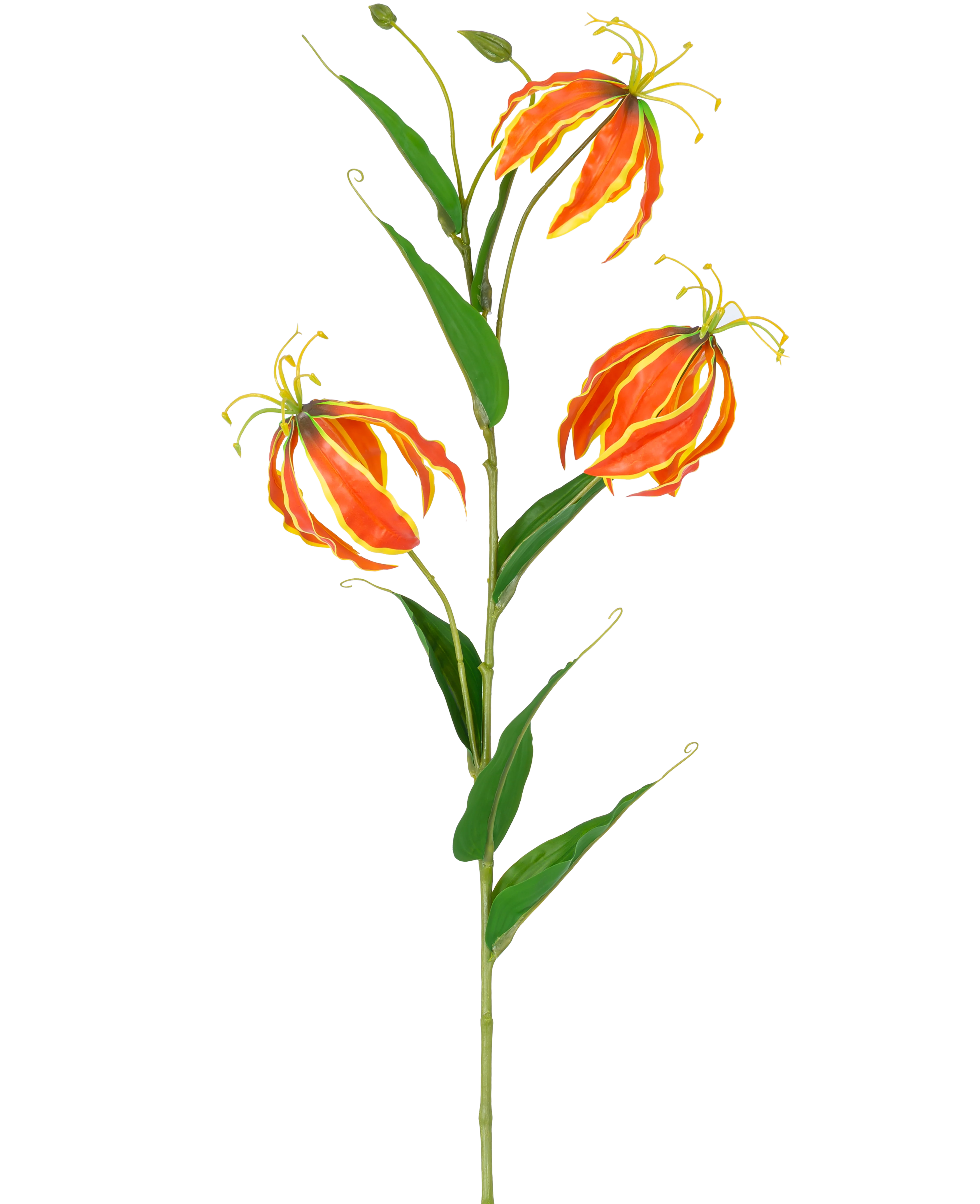 Miniatuur 1