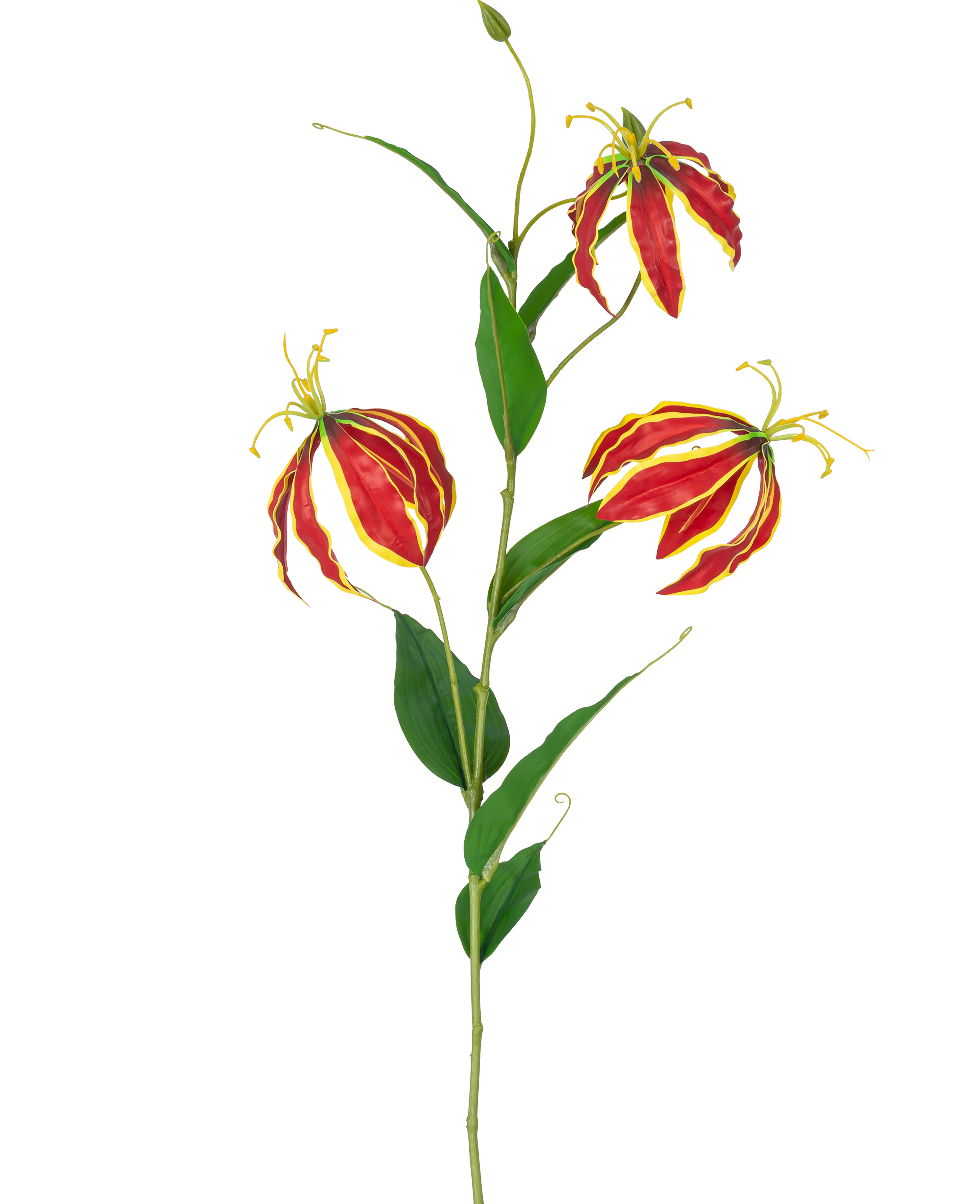 Miniatuur 1