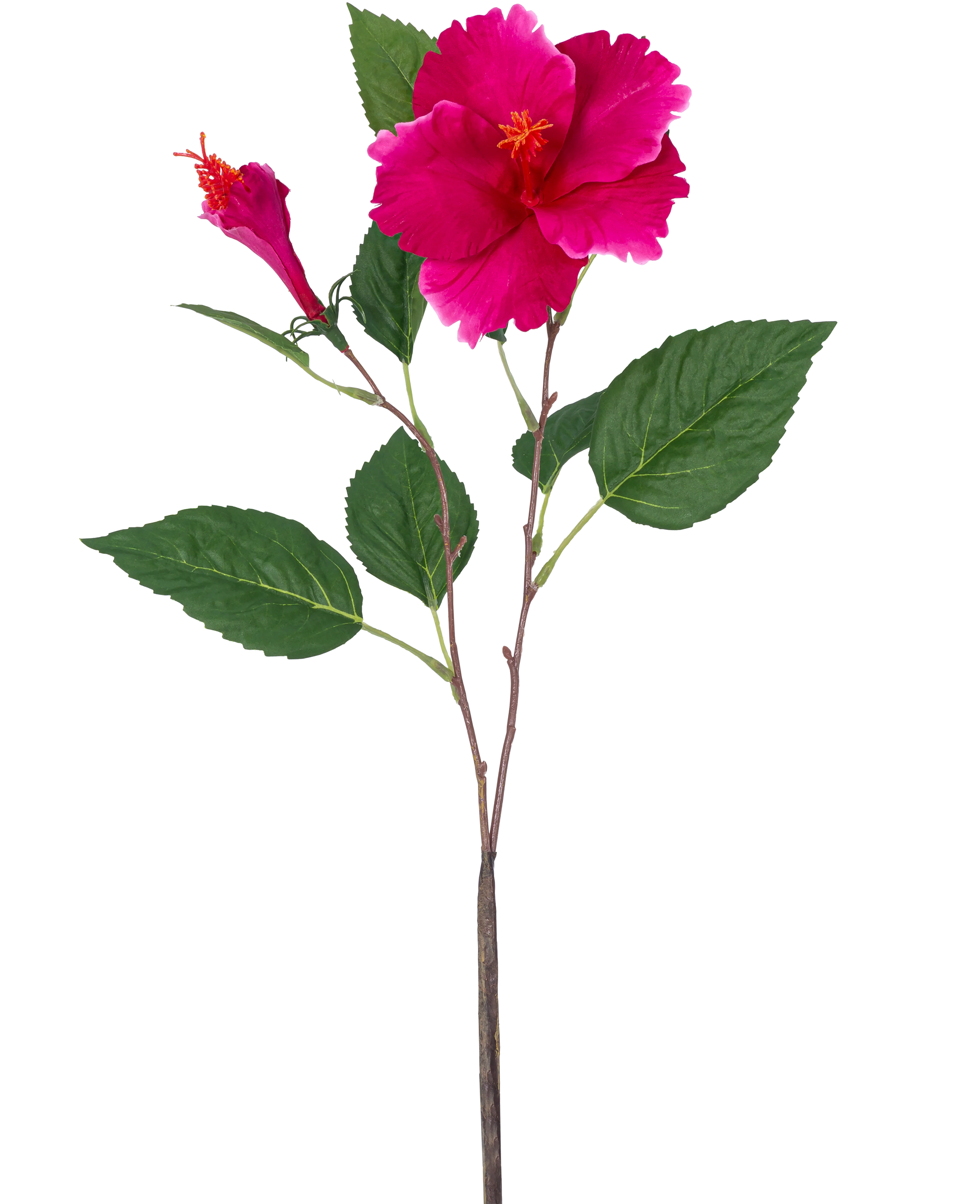 Miniatuur 1