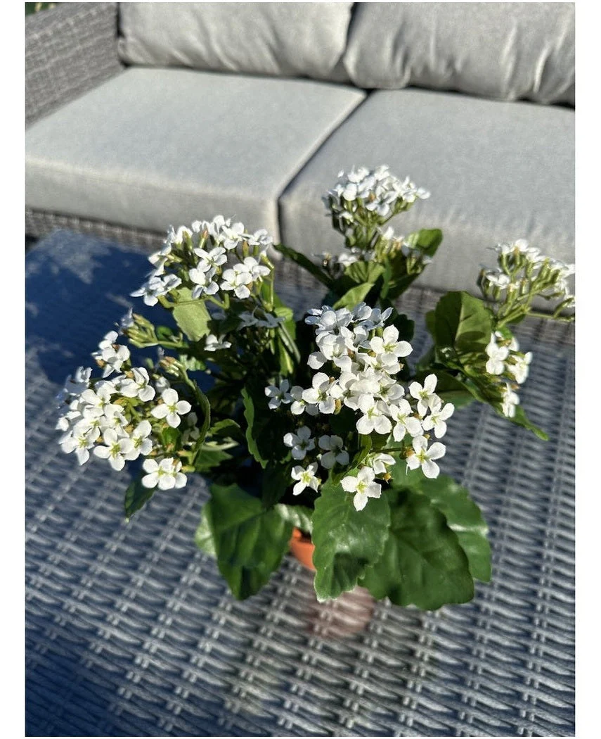 Miniatuur 2