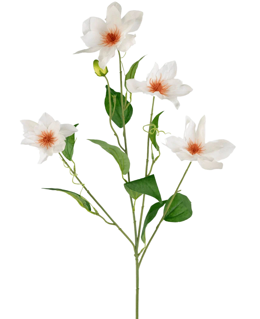 Miniatuur 1