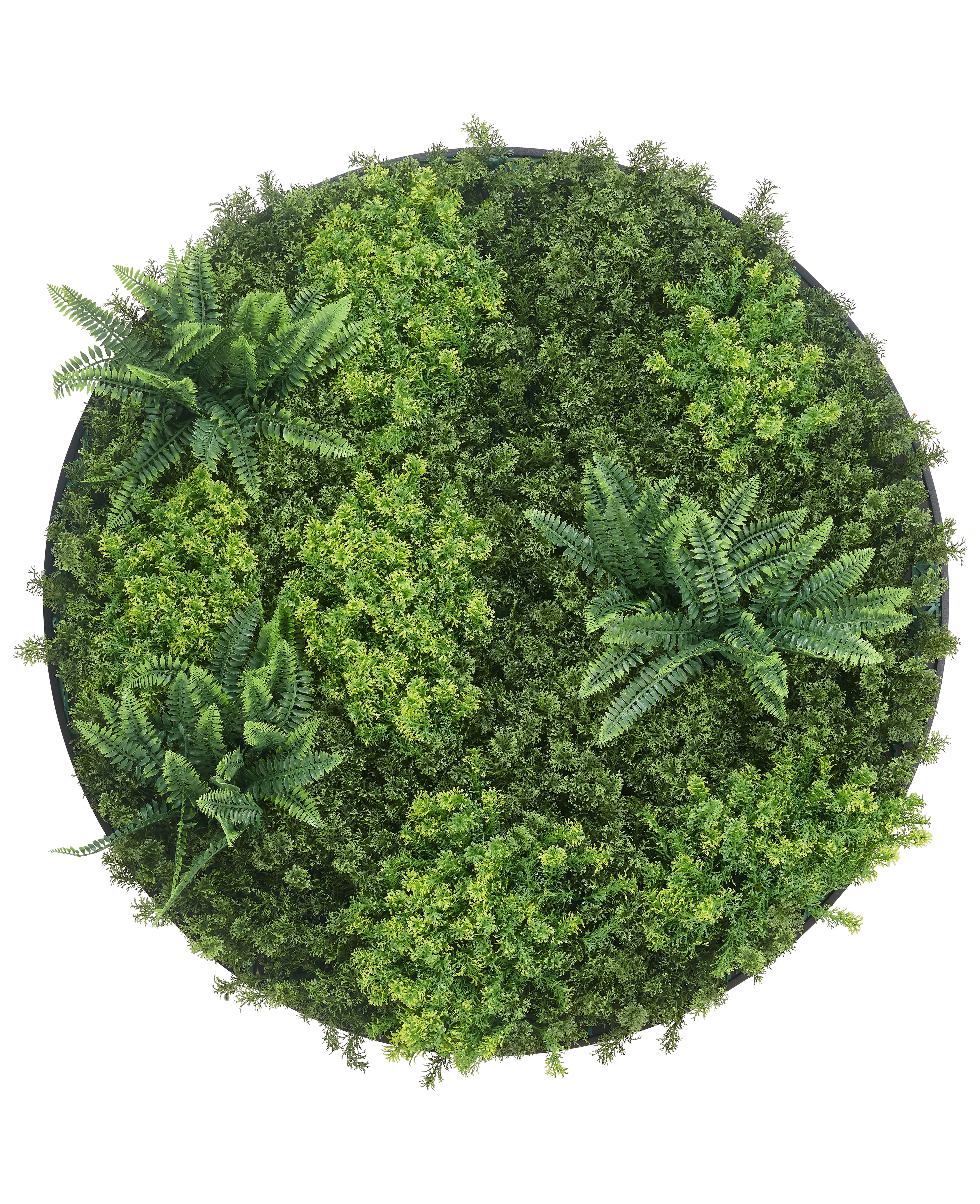 Miniatuur 1