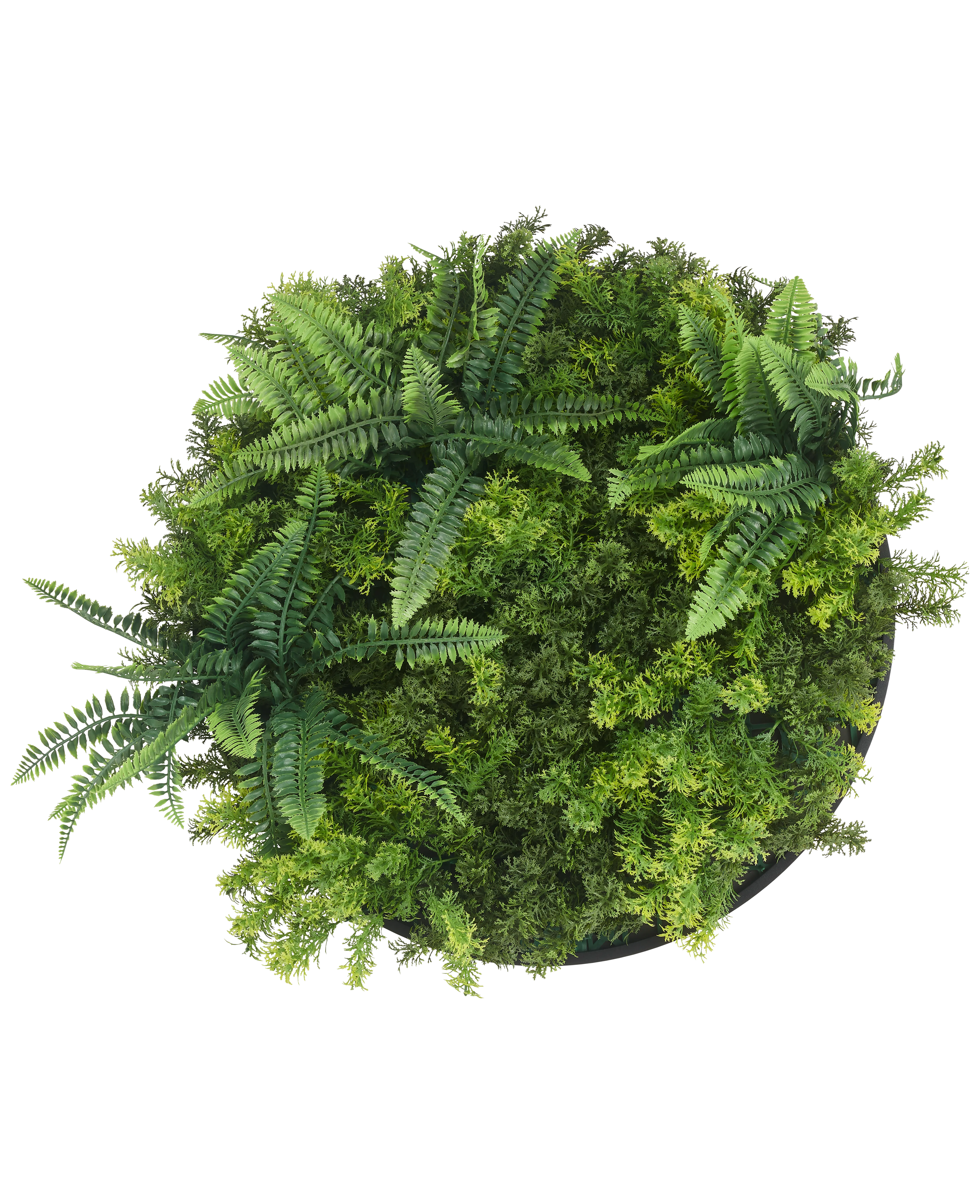 Miniatuur 1