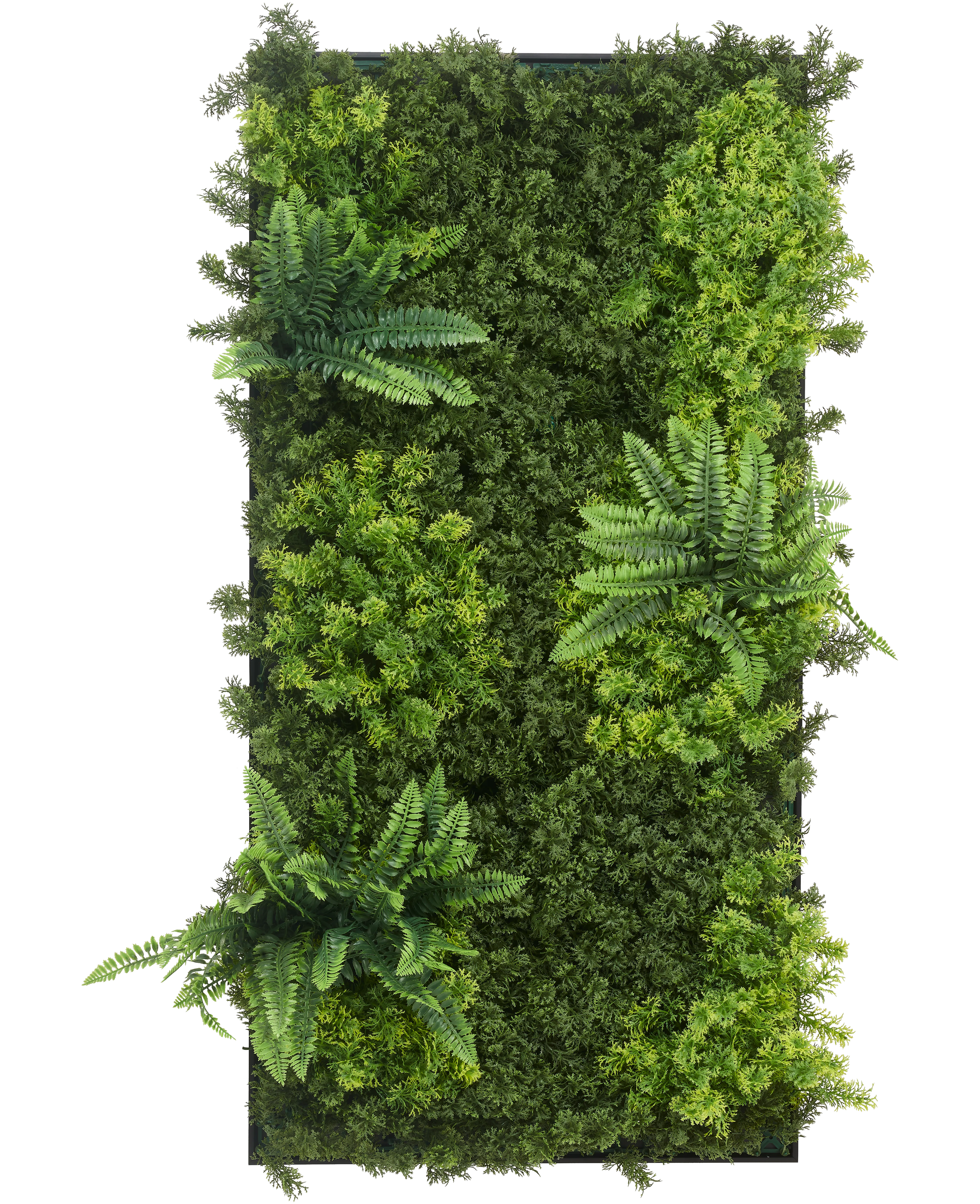 Miniatuur 1