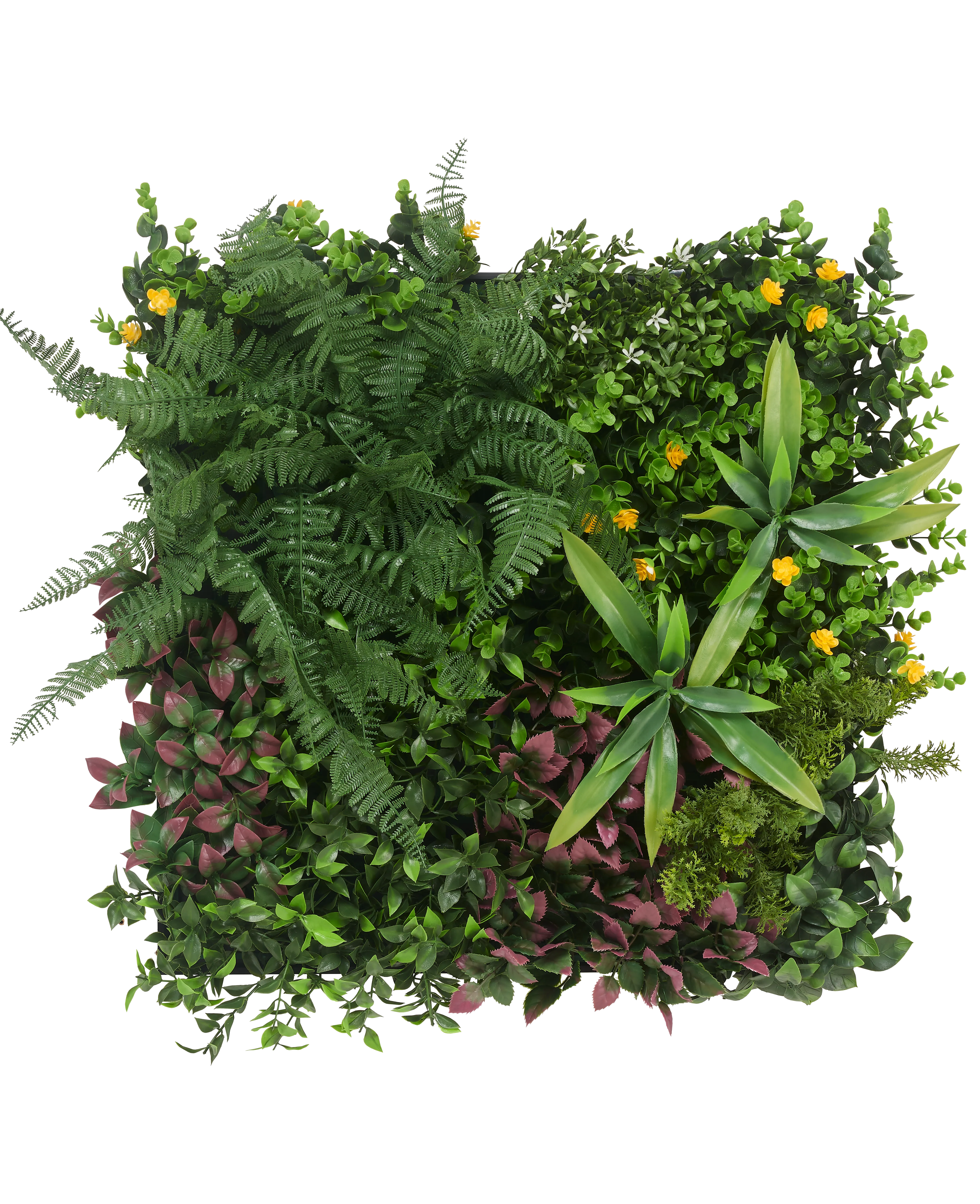 Miniatuur 1