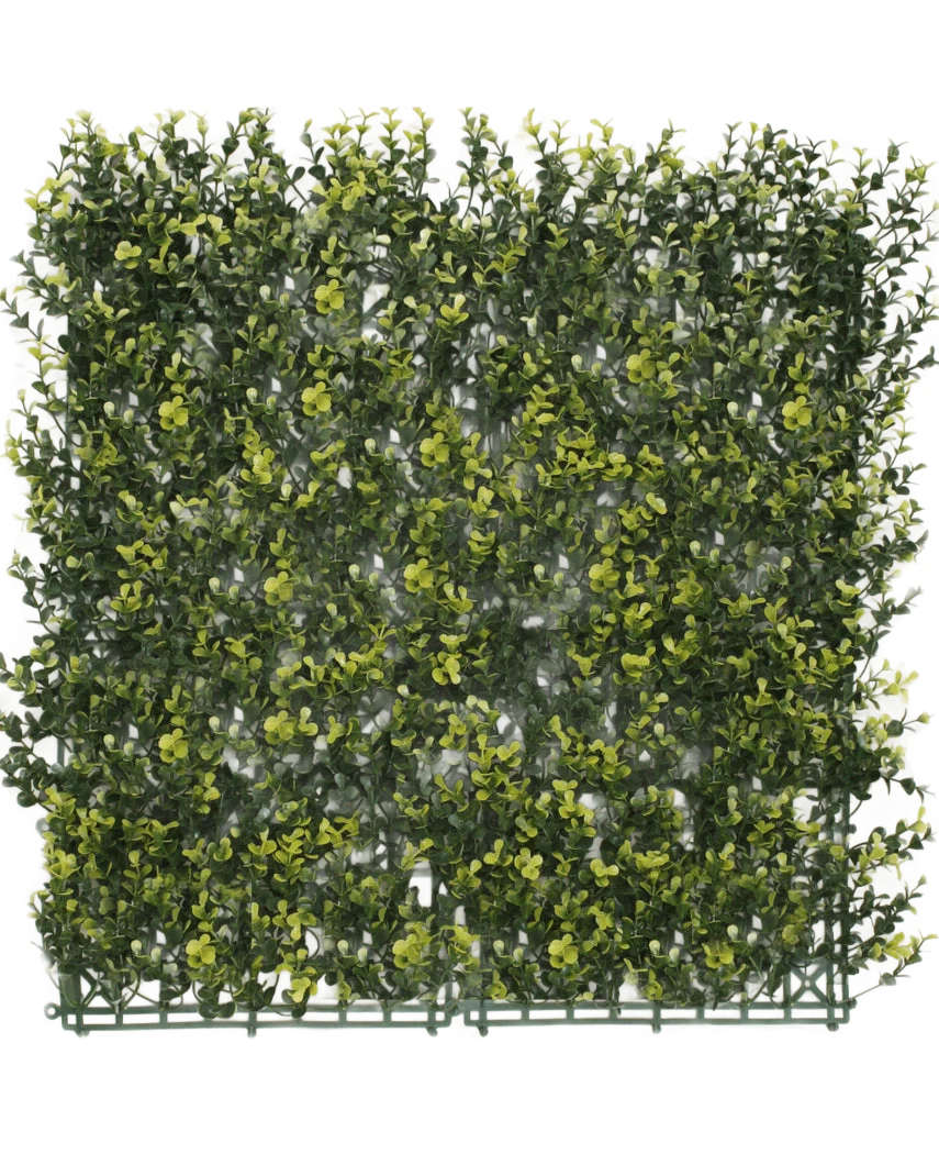 Miniatuur 1
