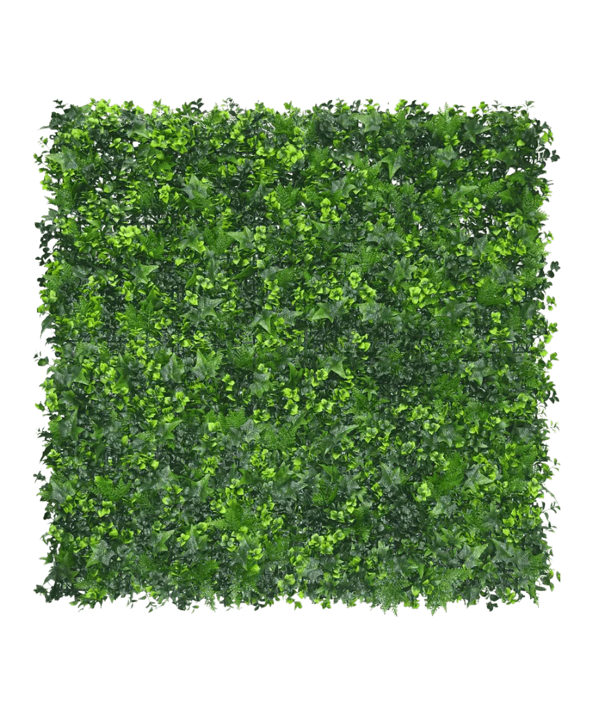 Miniatuur 1