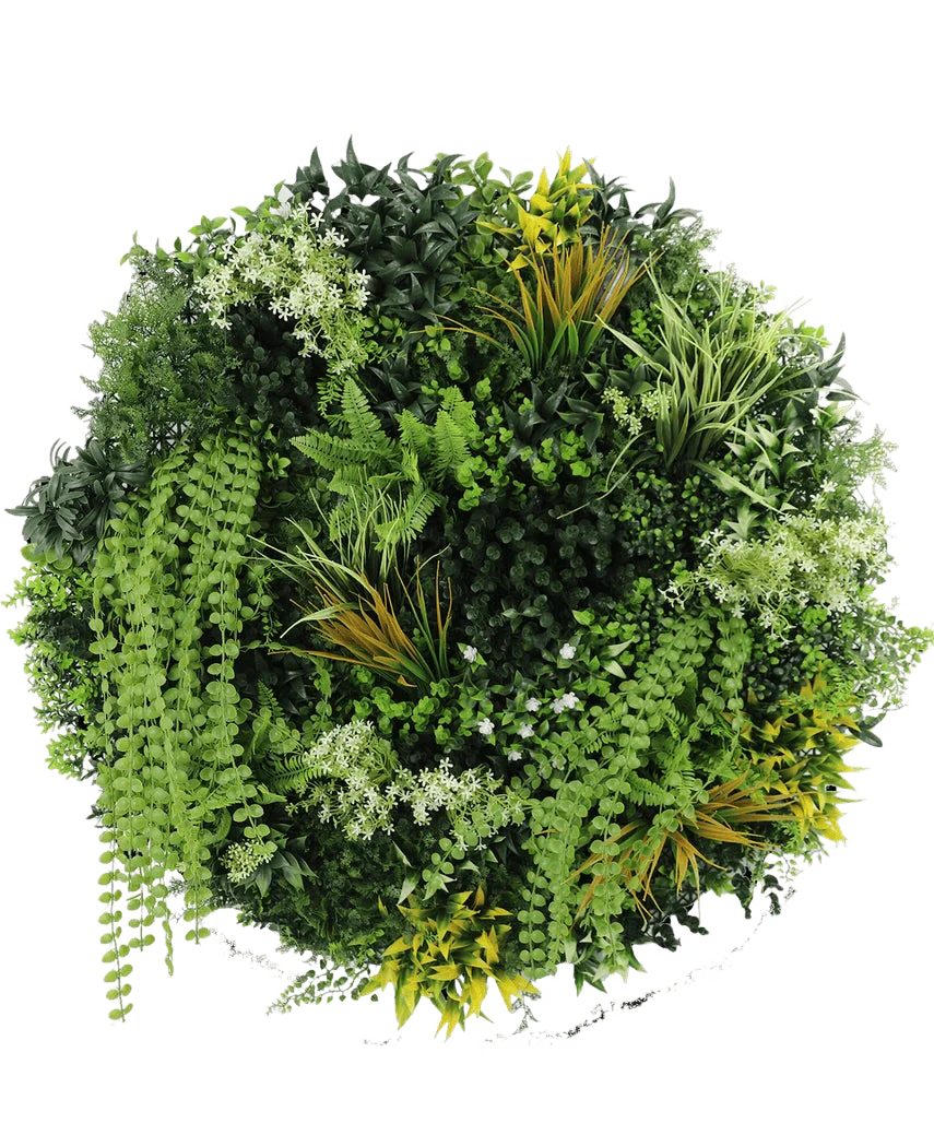 Miniatuur 1