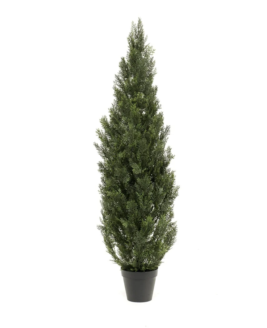 Kunst Buxus & Conifeer