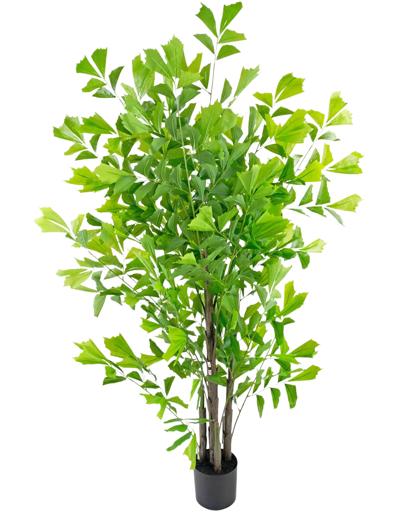 Miniatuur 1