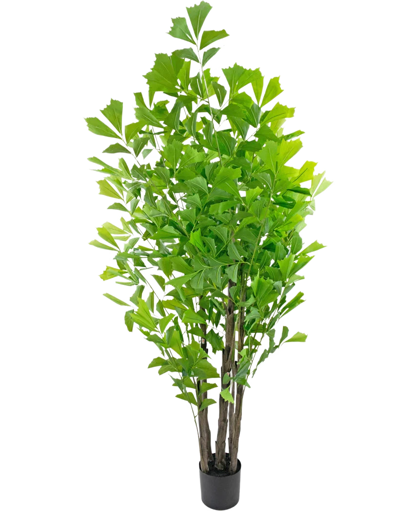 Miniatuur 1