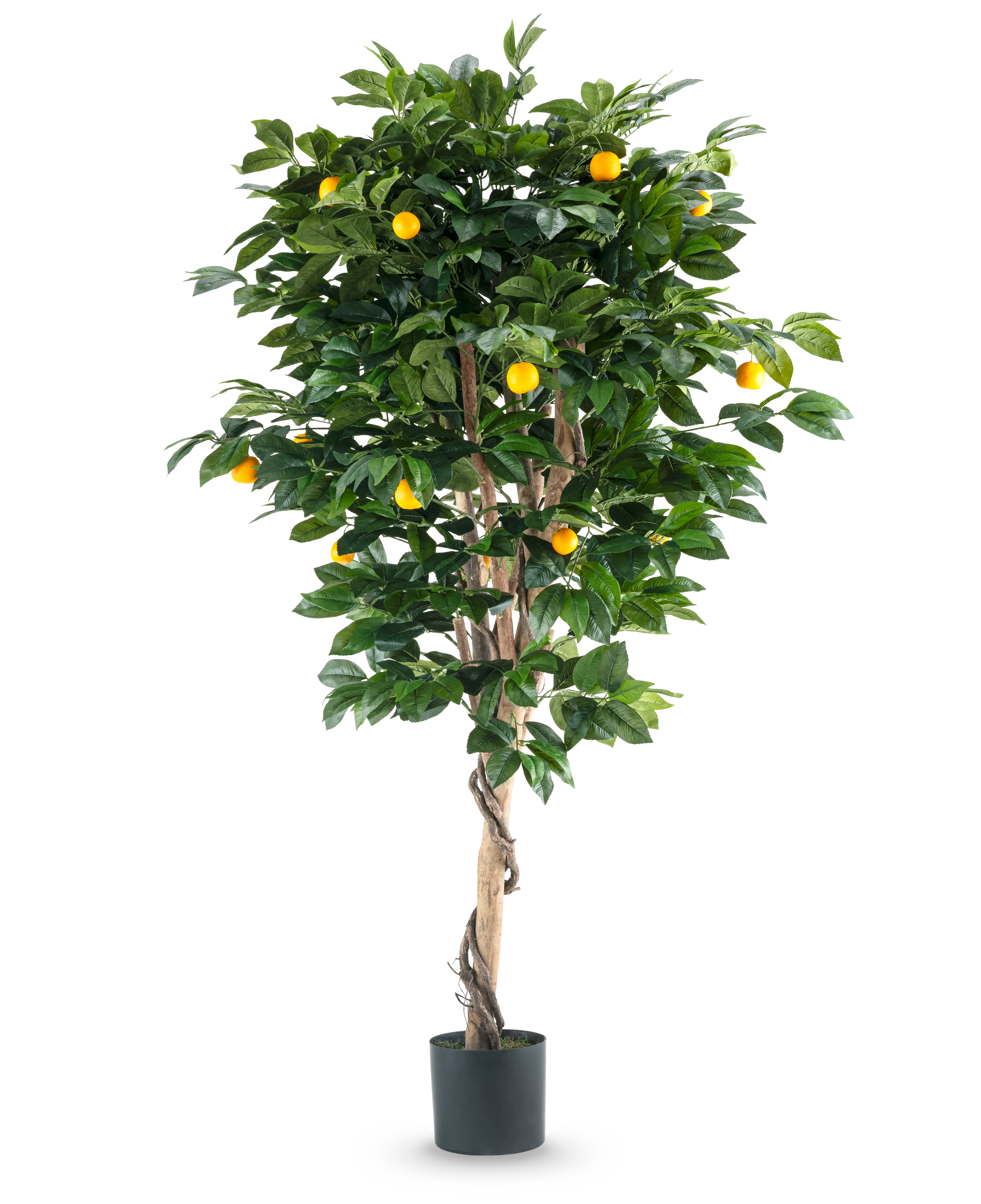 Miniatuur 1