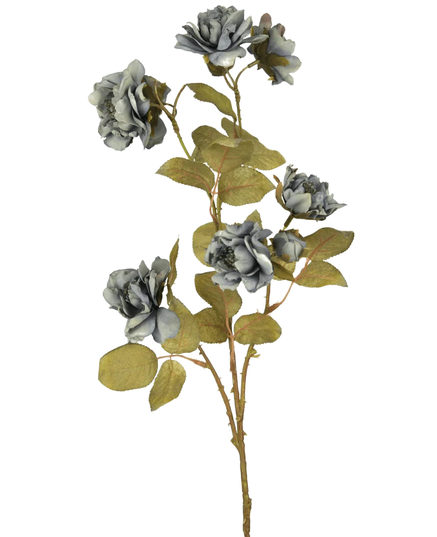 Miniatuur 1