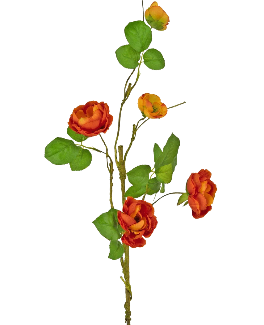 Miniatuur 1