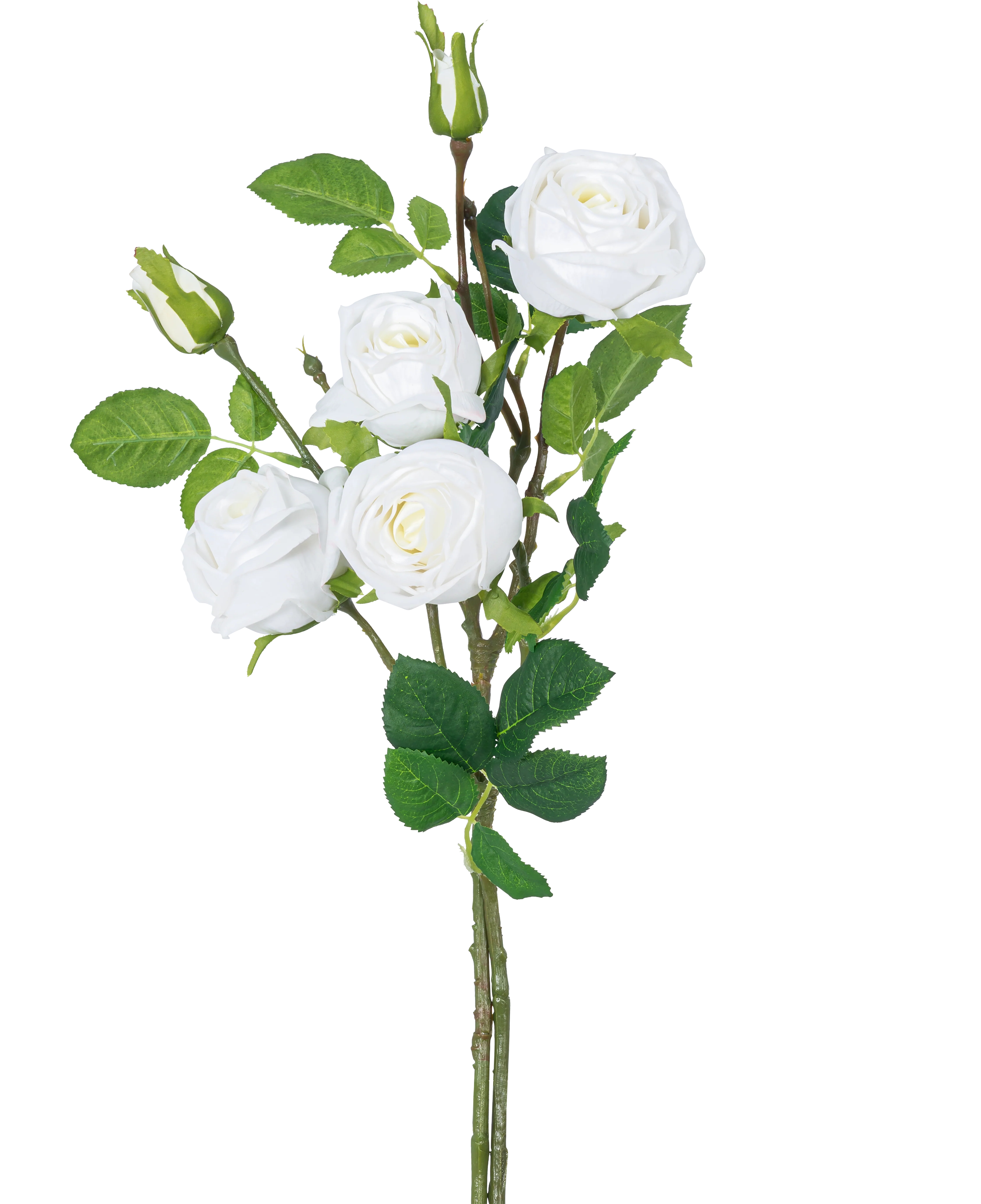 Miniatuur 1