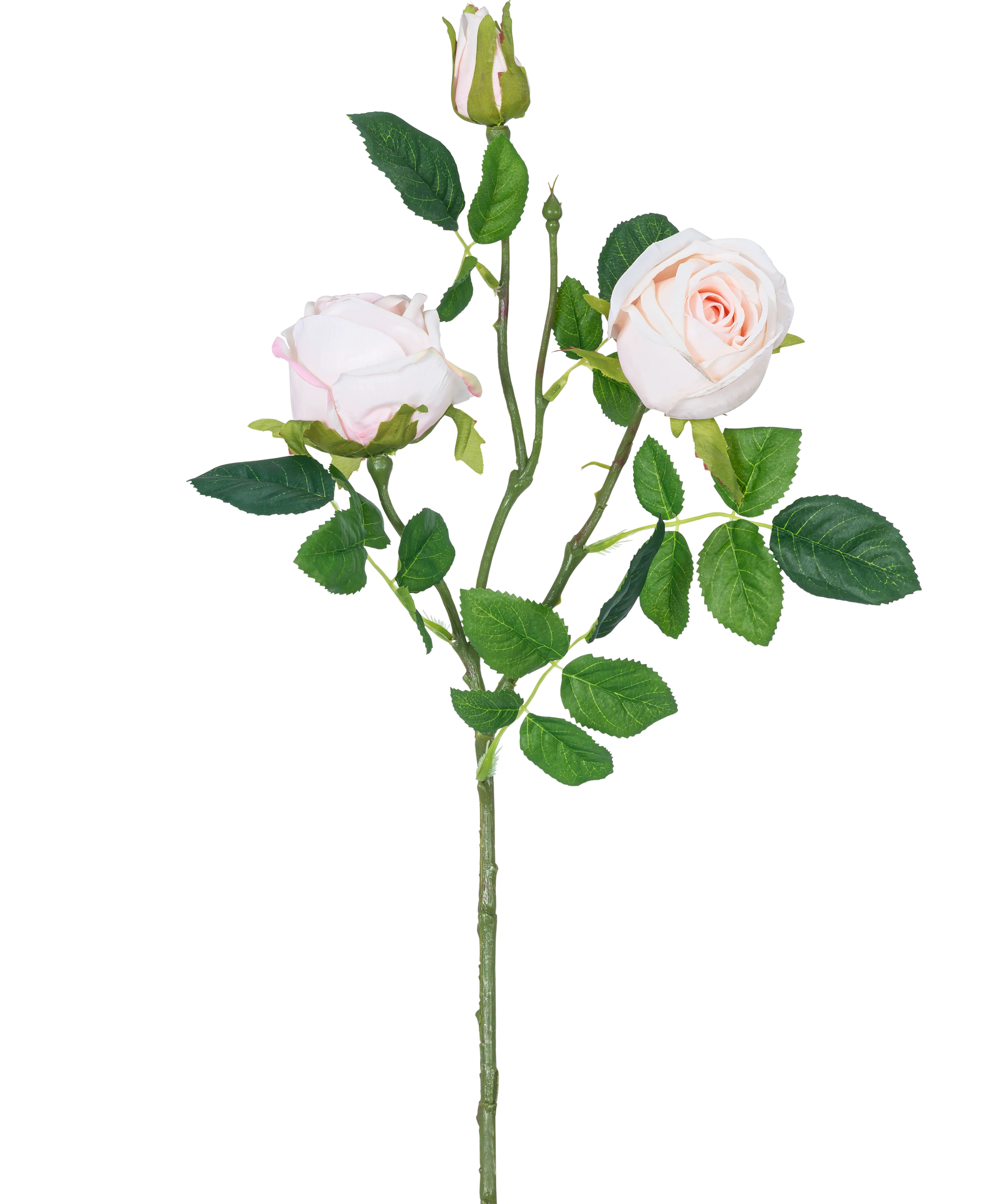 Miniatuur 1