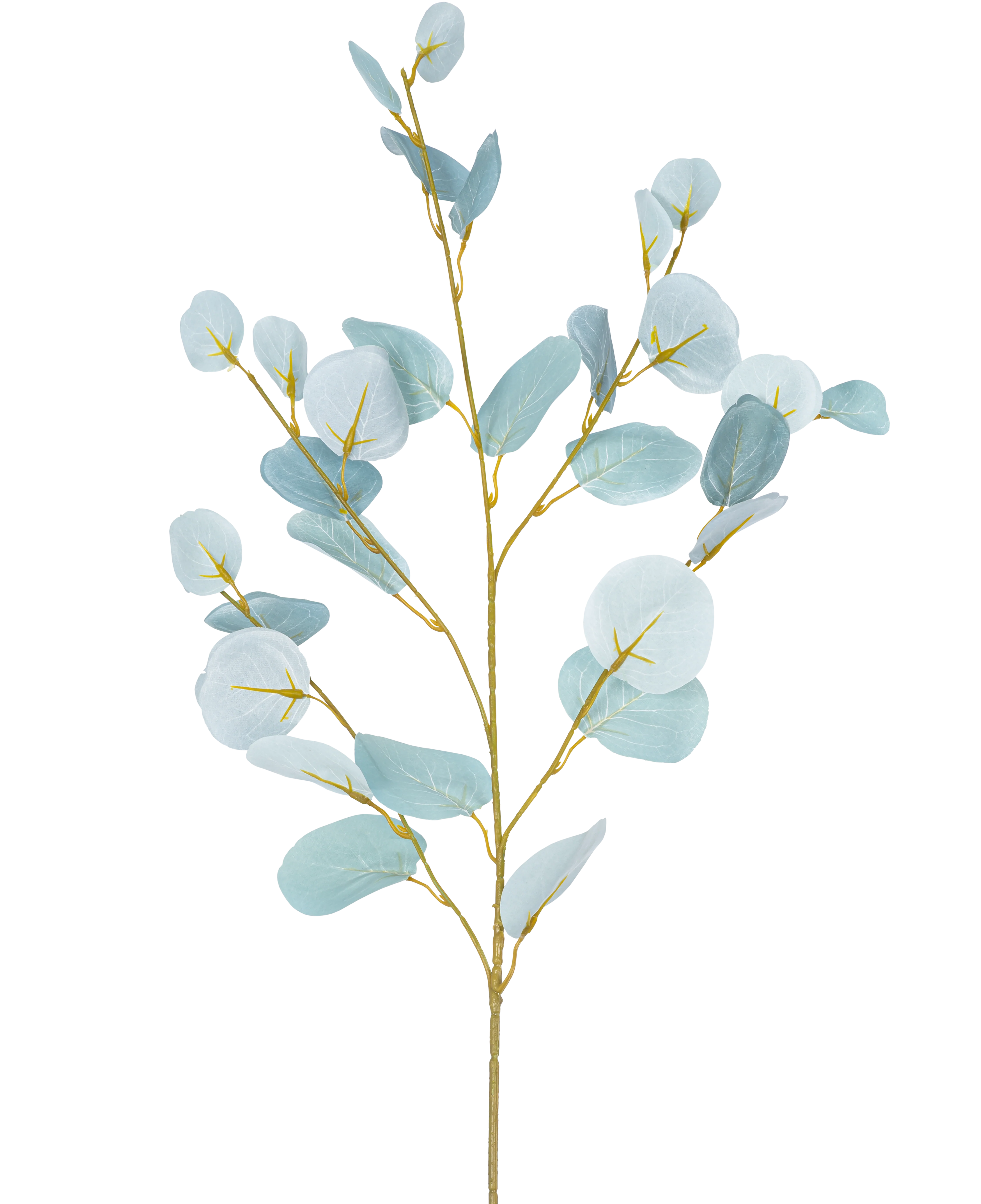 Miniatuur 1
