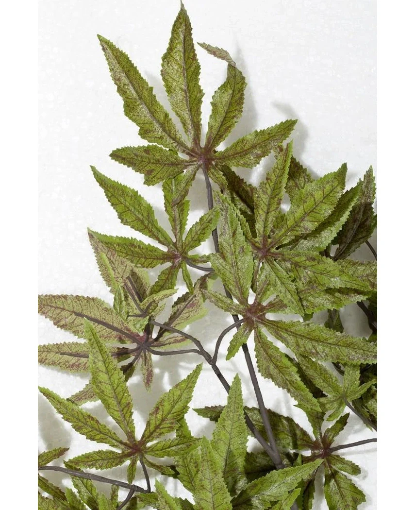 Miniatuur 2