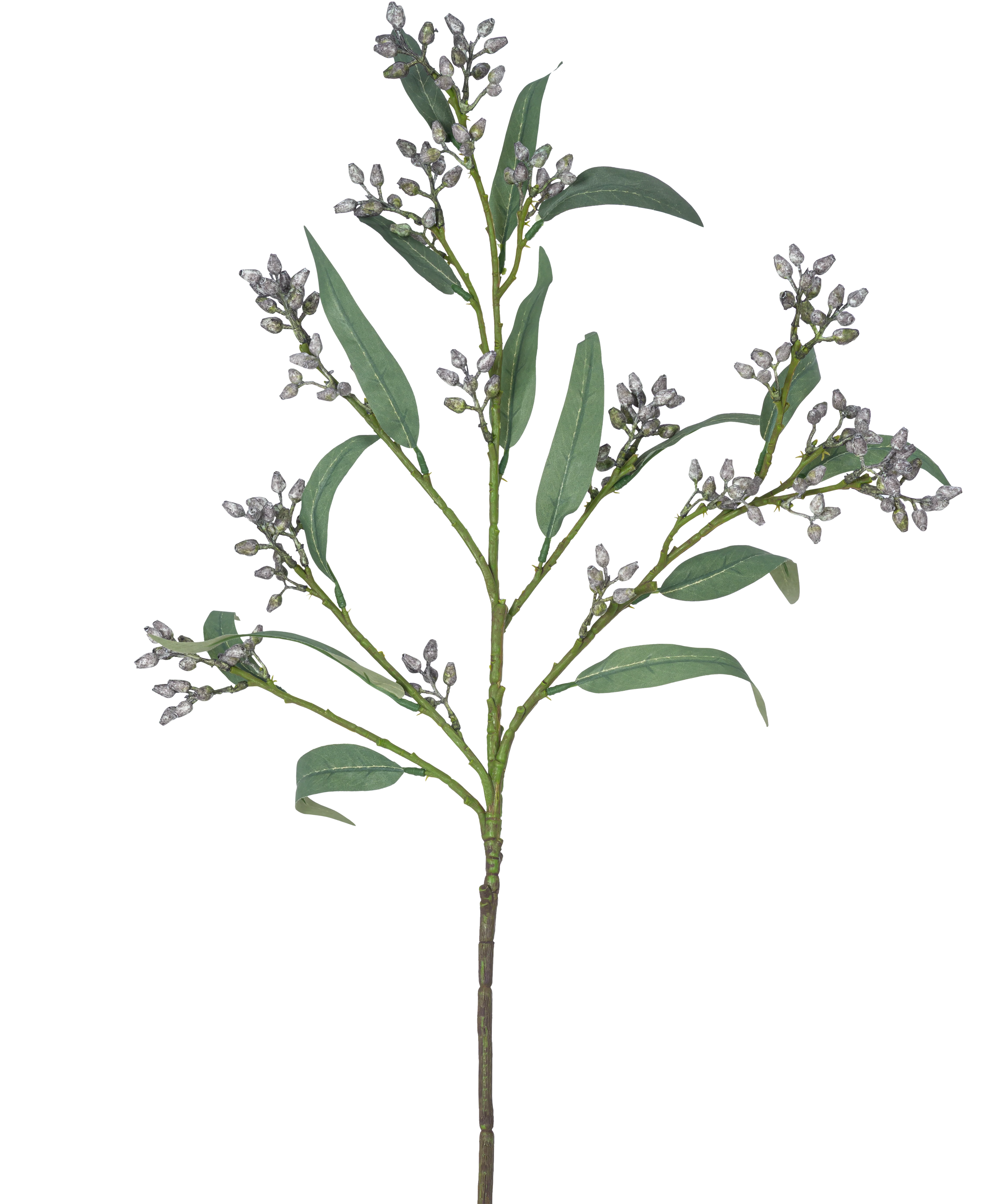 Miniatuur 1