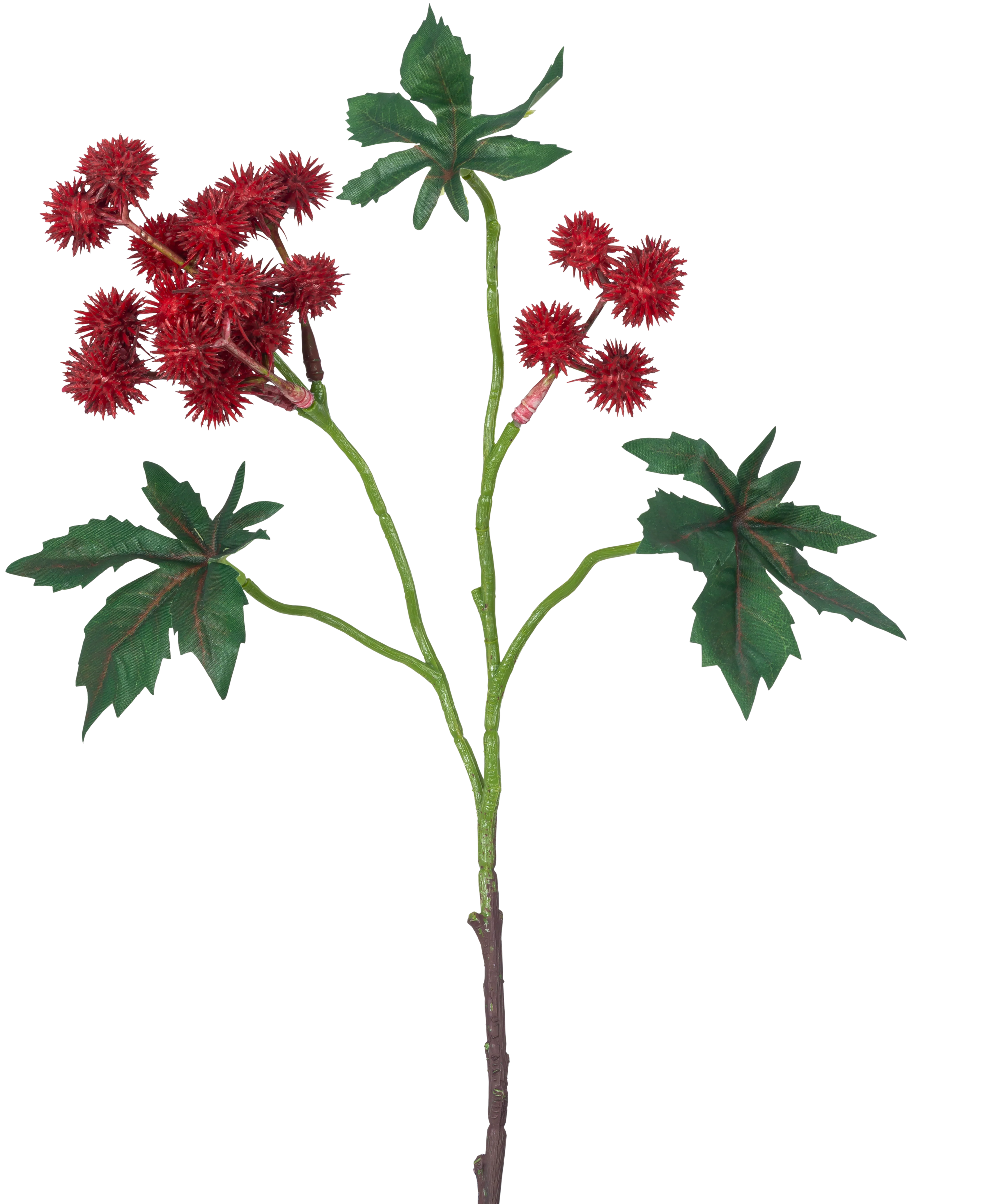 Miniatuur 1