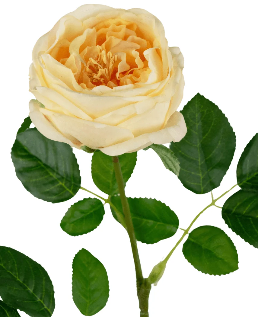 Miniatuur 2